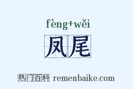 凤尾是什么意思的图片